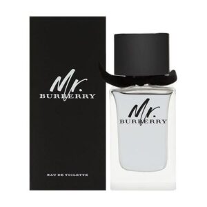 Burberry MR. Burberry EDT 100ml