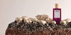 LOEWE EARTH EDP 50ML