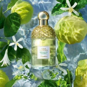 AQUA ALLEGORIA BERGAMOTE CALABRIA EDT 75ML