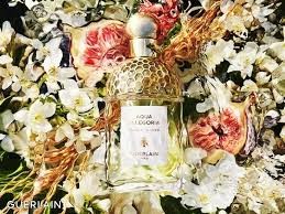 AQUA ALLEGORIA NEROLIA VETIVER EDT 75ML