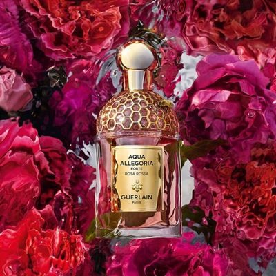 GUERLAIN AQUA FL/BLOOM FORTE EDP V/RECH 75ML